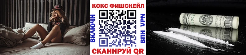 Cocaine Fish Scale  Купить где  Вышний Волочёк 