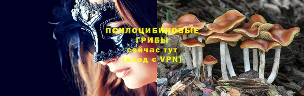 дживик Каменск-Шахтинский