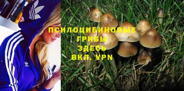 трава Каменногорск