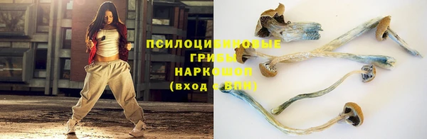 трава Каменногорск