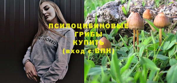 трава Каменногорск