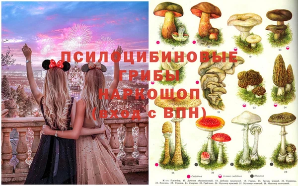 стаф Карпинск