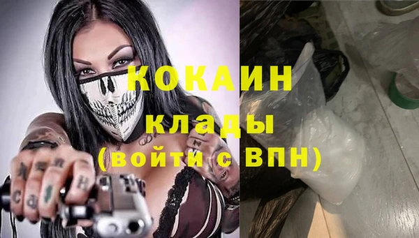 Альфа ПВП Каменка