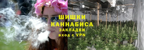 Альфа ПВП Каменка