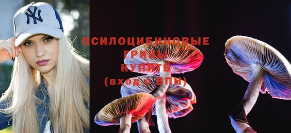 Альфа ПВП Каменка