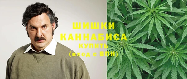 трава Каменногорск