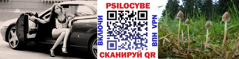 Галлюциногенные грибы мухоморы  Купить закладки  Вышний Волочёк 
